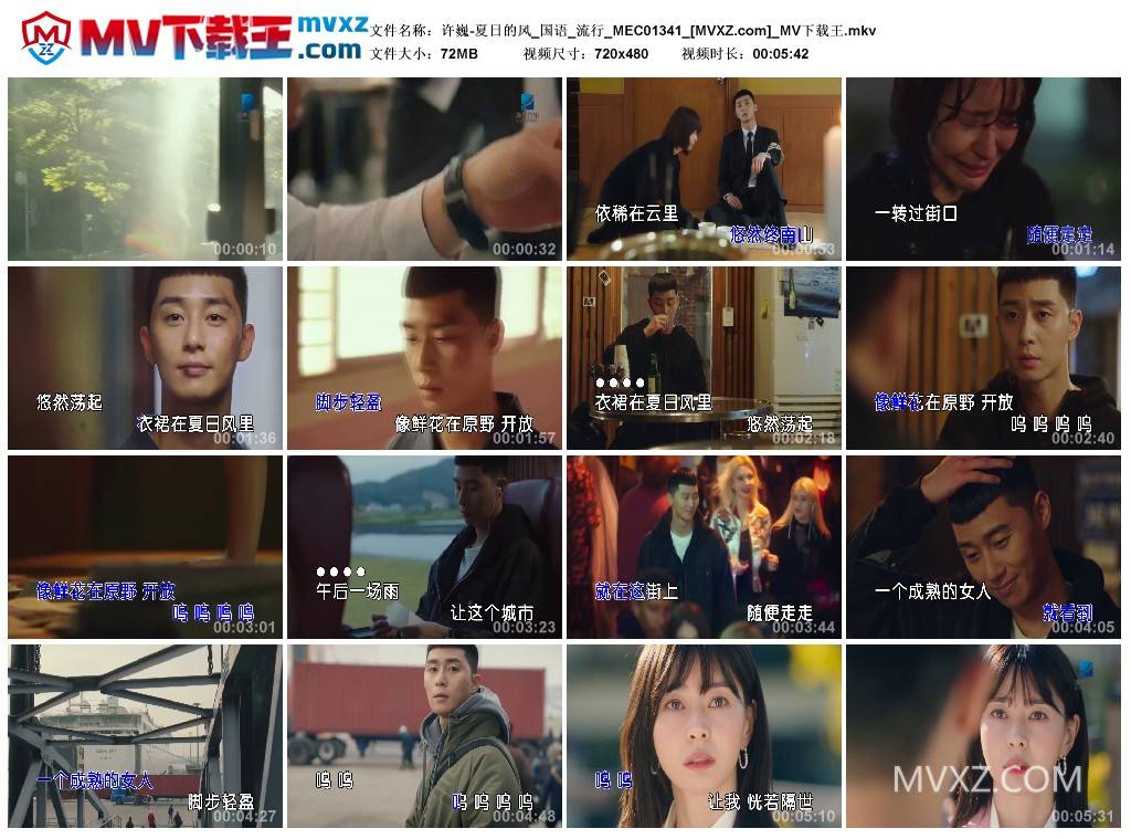 许巍-夏日的风_国语_流行_MEC01341